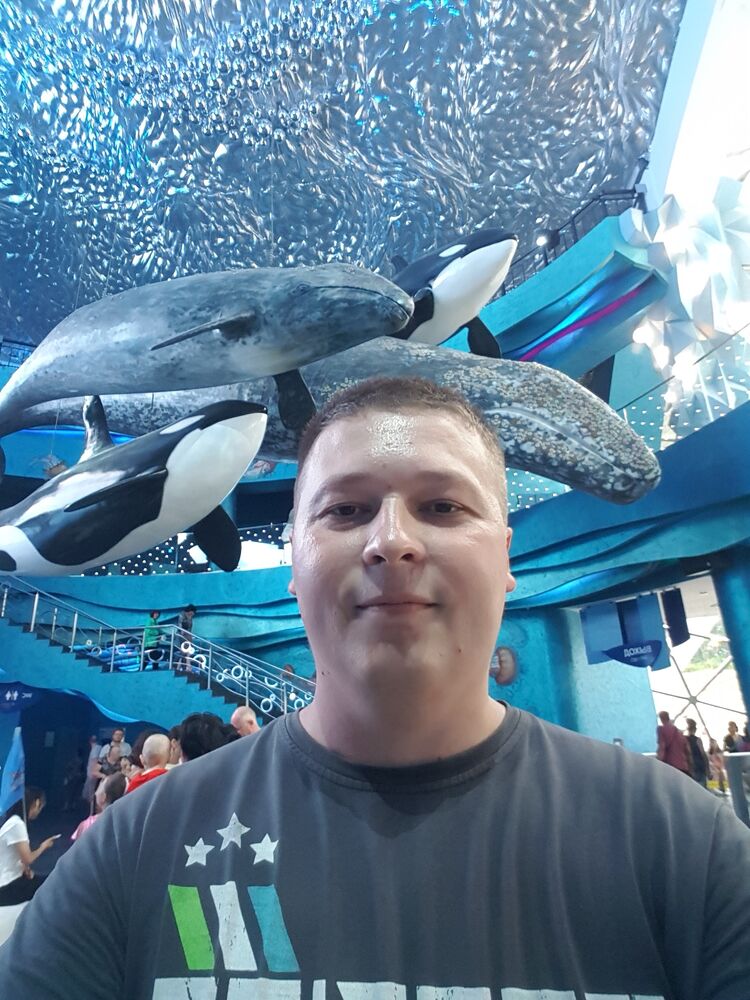 ���� 26820985 ������� ������, 36 ���, ���� ���������� � ����-����������