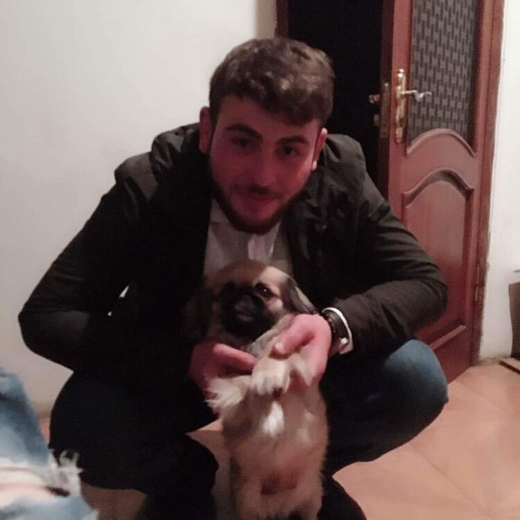 ���������� ������, ���� ������� TORNIKE, 27 ���, ������������ ��� ������, ����� � ���������