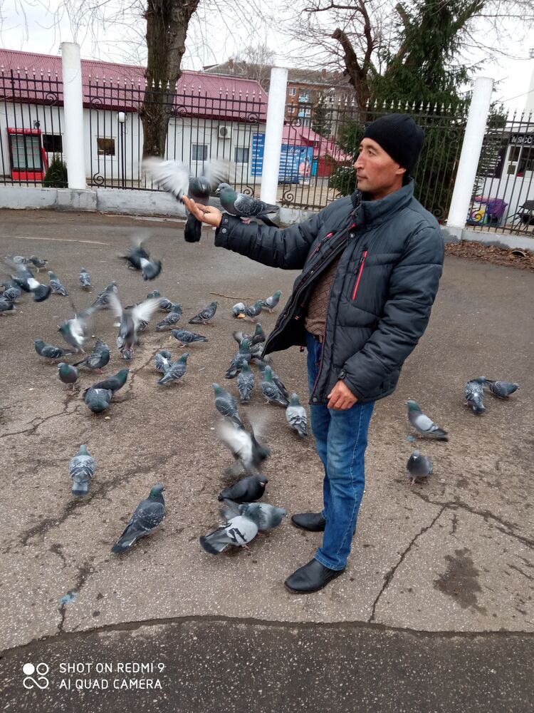 ���������� ��������, ���� ������� �����, 45 ���, ������������ ��� ������, ����� � ���������, c�������� ���������