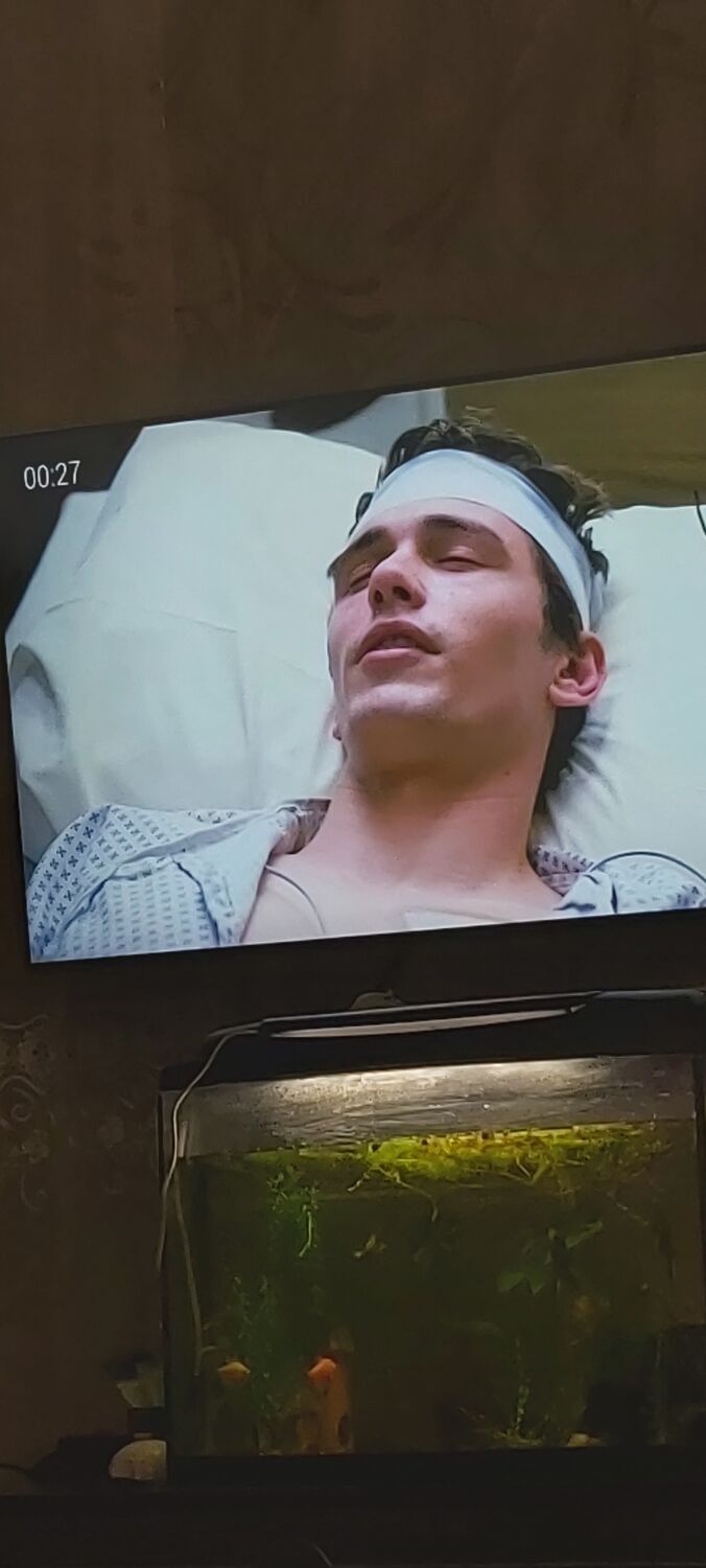  38217955  , 23 ,    --