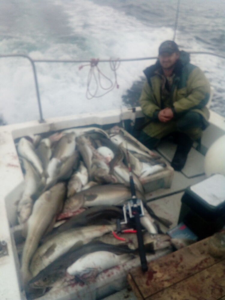 ���������� ������, ���� ������� ���������, 47 ���, ������������ ��� ������, ����� � ���������, c�������� ���������