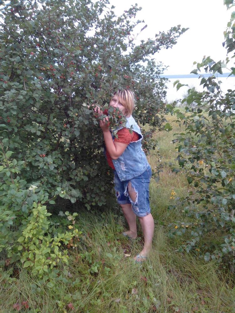 ���� 31419455 ������� ���������, 36 ���, ���� ���������� � ��������