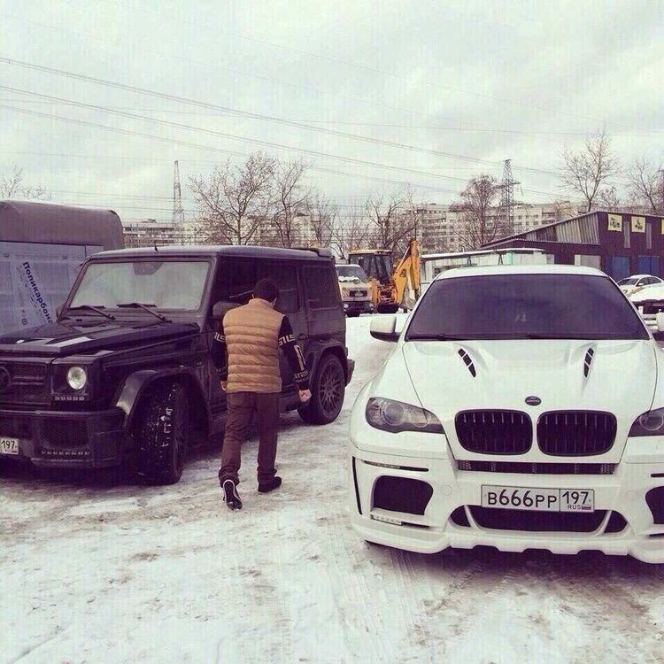 ���� 20453095 ������� �������, 42 ����, ���� ���������� � �����������