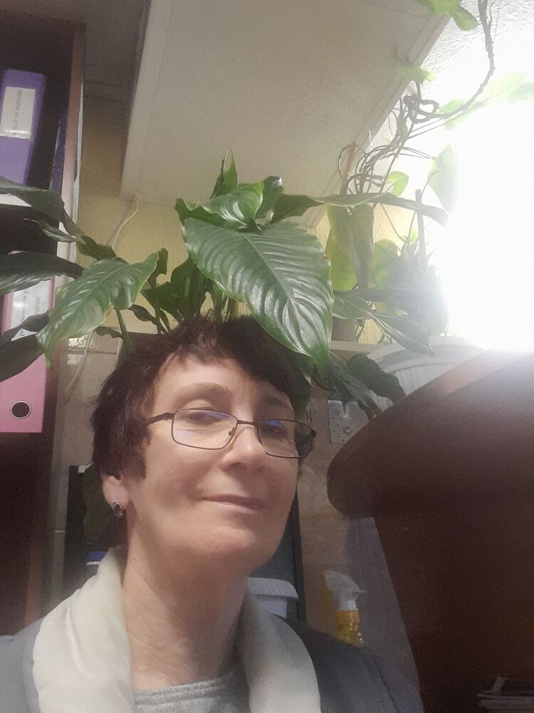 ���������� �����-���������, ���� ������� �����, 62 ����, ������������ 