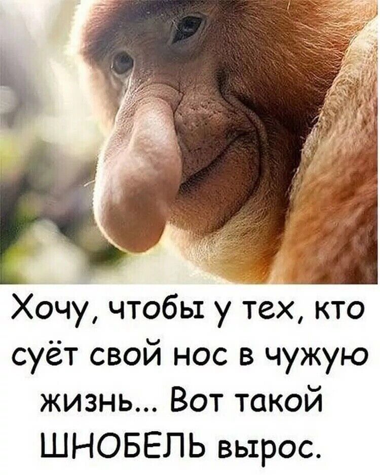  34065955   , 48 ,    
