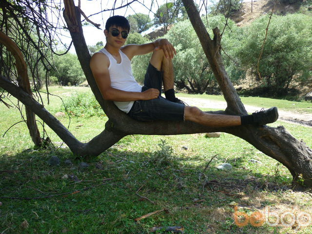  1183865  Raboni, 33 ,    