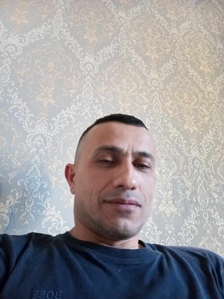  50336365  , 44 ,    