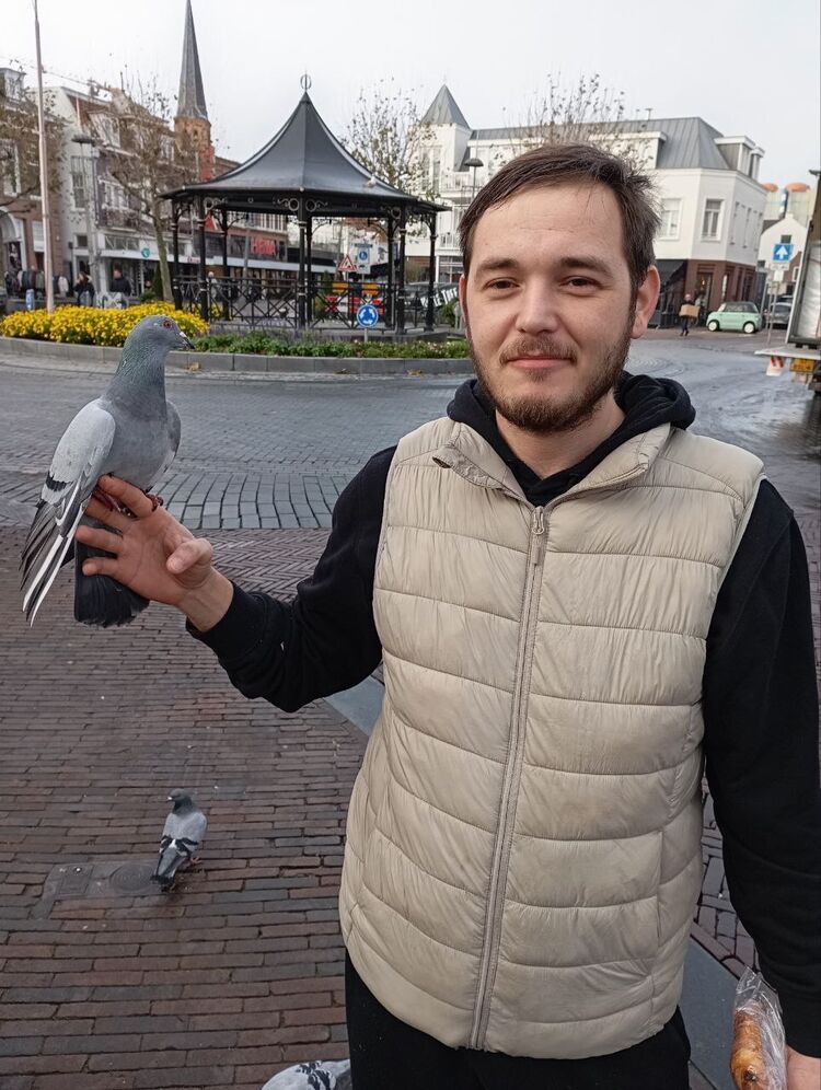 ���� 54557155 ������� �������, 33 ����, ���� ���������� � Moerdijk