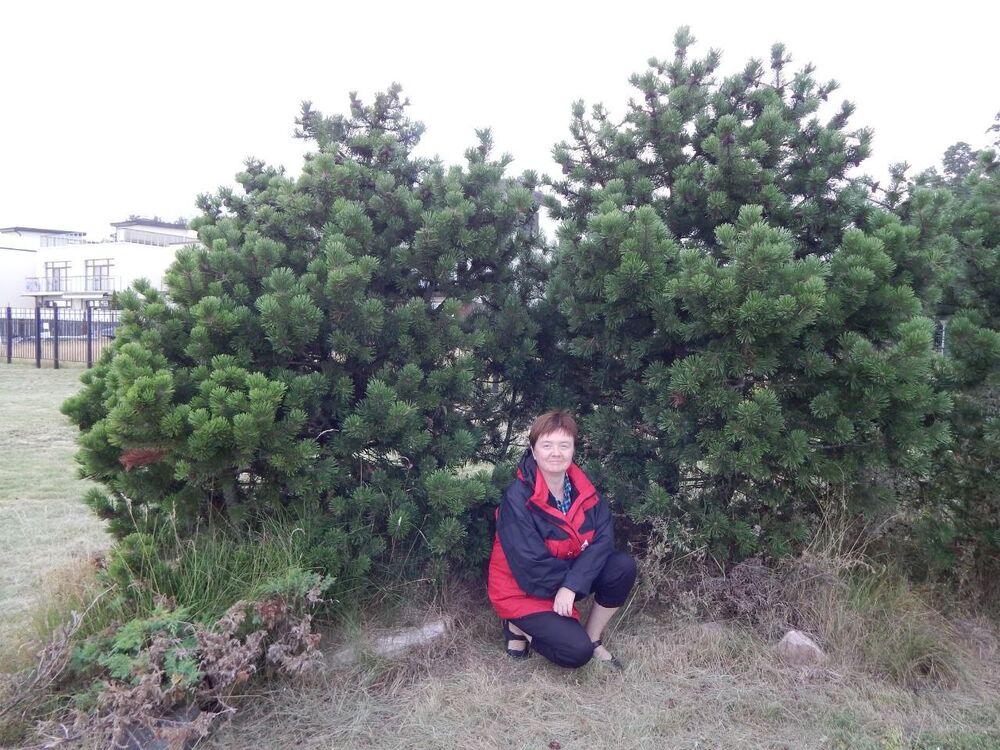 ���������� �����-���������, ���� ������� LudonkaB, 44 ����, ������������ ��� ������, ����� � ���������