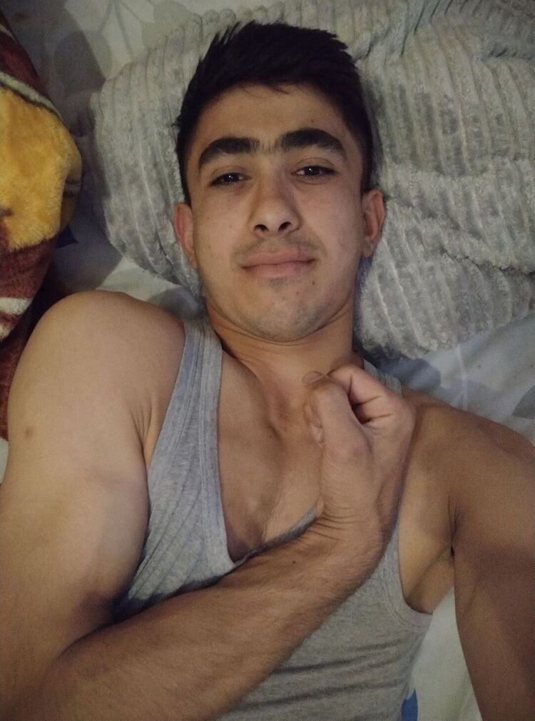  46235785   , 26 ,    