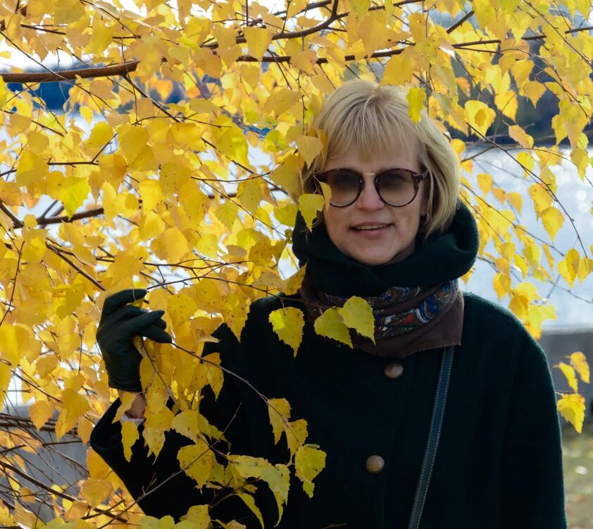 ���� 56213405 ������� �����, 59 ���, ���� ���������� � ���������