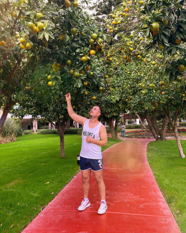  ,   , 34 ,   ,   