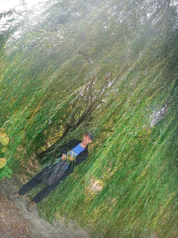 ���� 31079785 ������� ����������, 43 ����, ���� ���������� � ����������