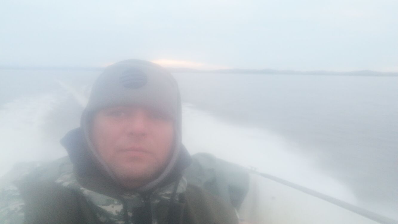  --,   , 38 ,   ,   