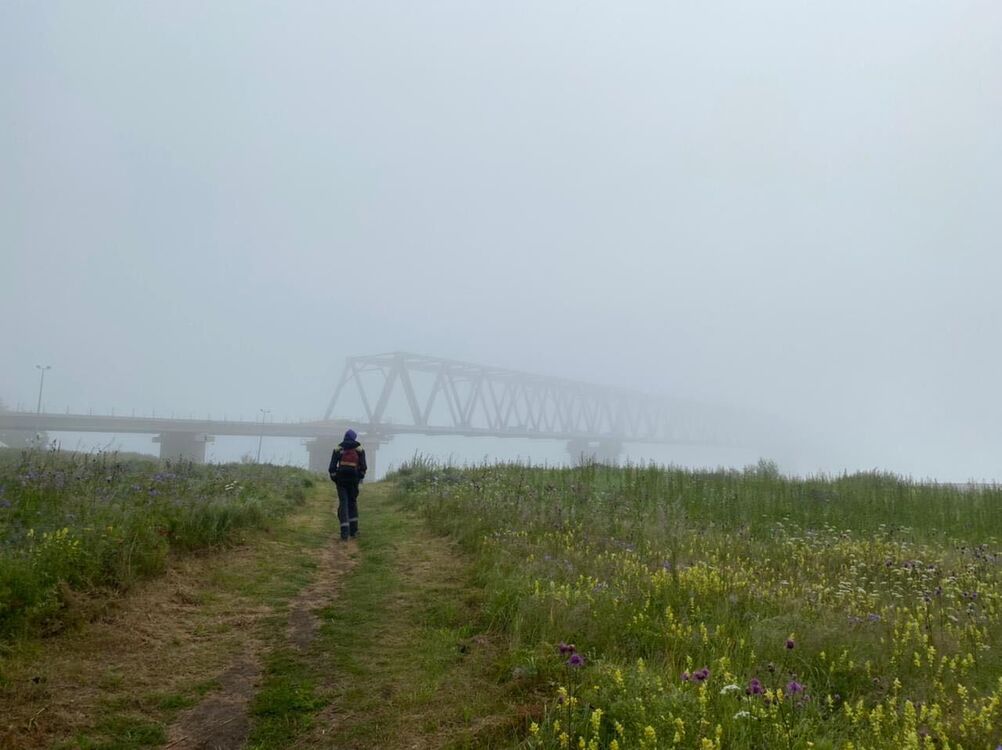 ���������� ������, ���� ������� �����, 42 ����, ������������ ��� ������, ����� � ���������, c�������� ���������, ���������