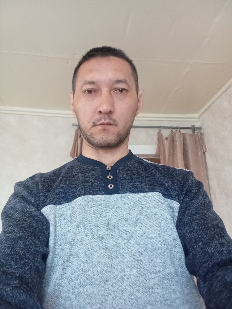  51088195  , 43 ,    