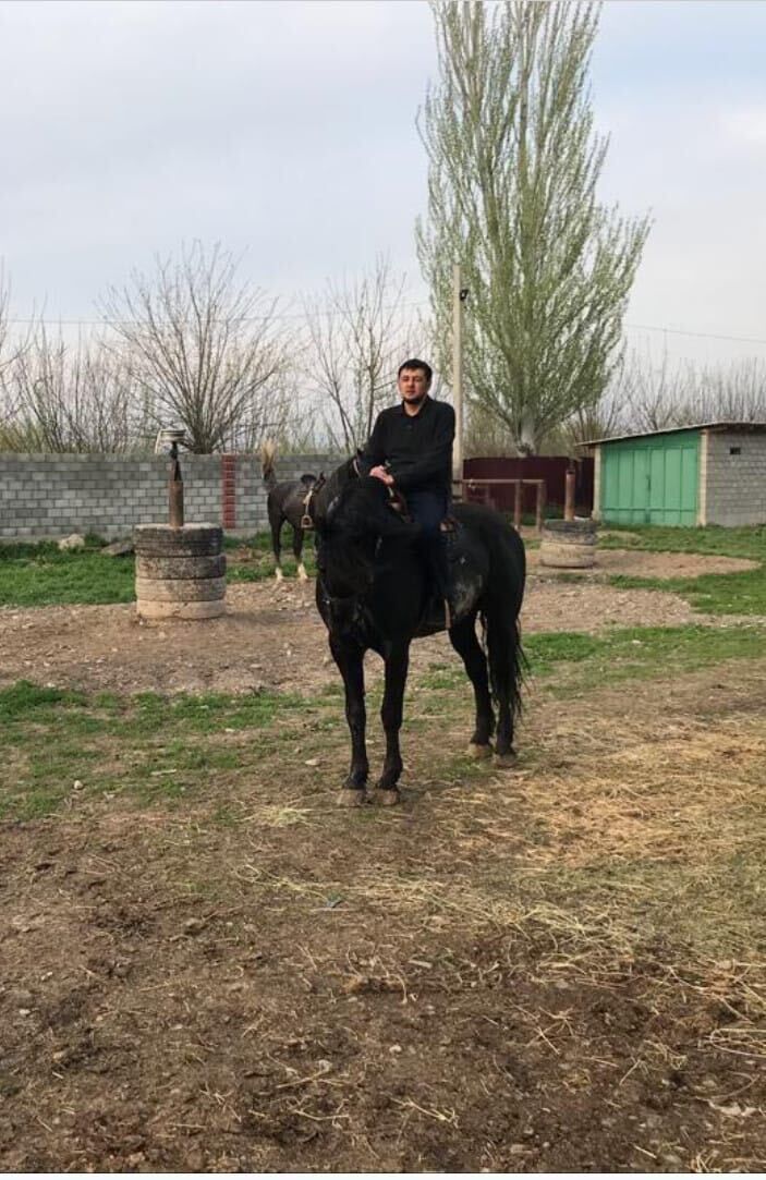 ���������� ������, ���� ������� SD, 38 ���, ������������ ��� ������, ����� � ���������, c�������� ���������, ���������