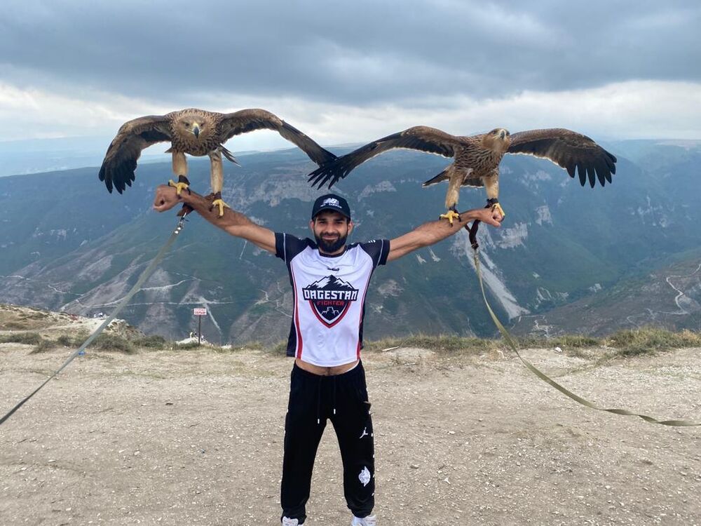 ���� 43425545 ������� Anzor, 30 ���, ���� ���������� � �����-����������