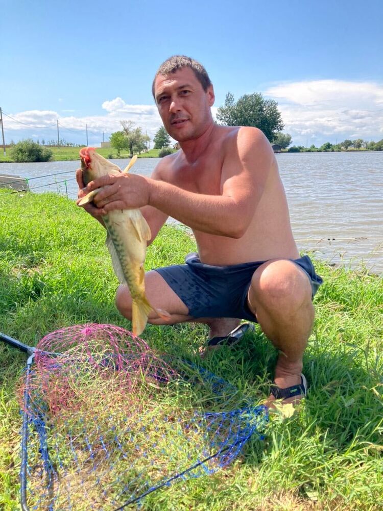 ���������� ���������, ���� ������� �������, 44 ����, ������������ ��� ������, ����� � ���������