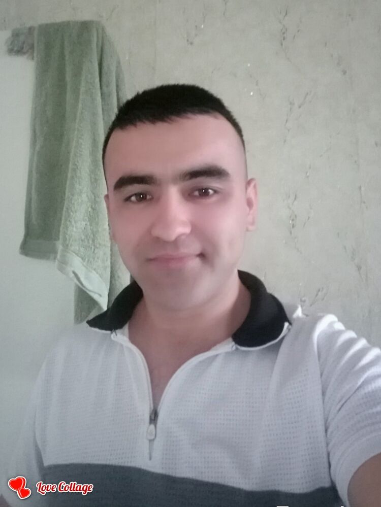  33539065  , 36 ,    