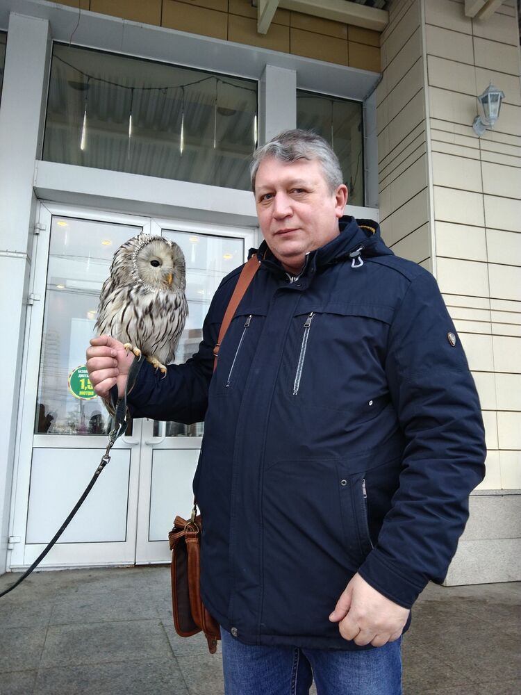 ���������� ������, ���� ������� ���������, 55 ���, ������������ 