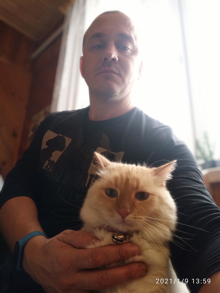  ,   , 43 ,   ,   , 