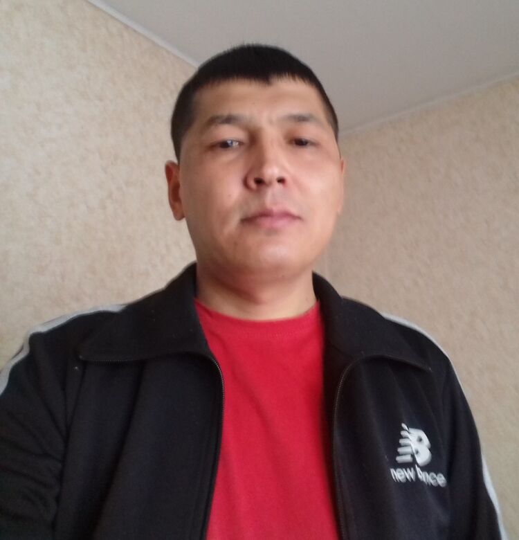  53280535  , 44 ,    