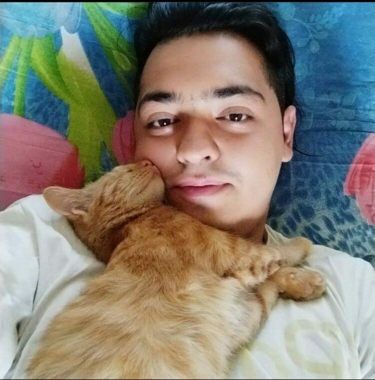 ���� 24886745 ����� ������, 23 ����, ���� ���������� � ��������