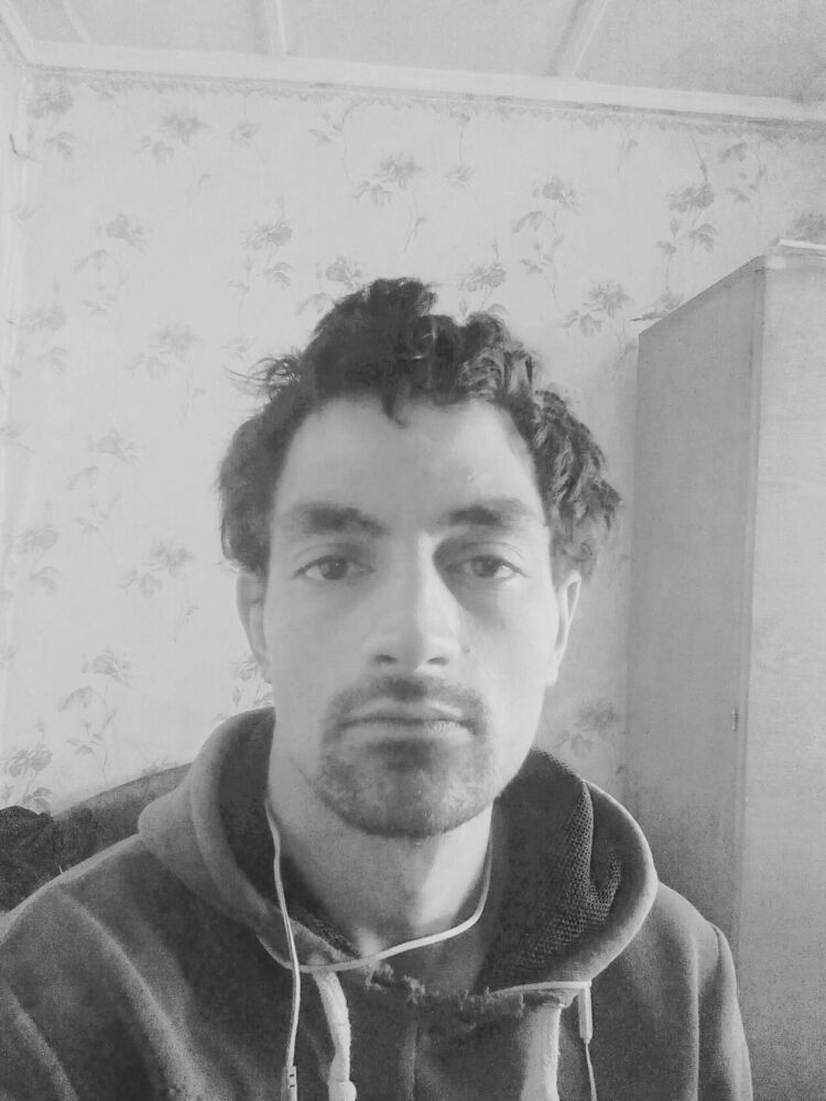  41676185  , 29 ,    