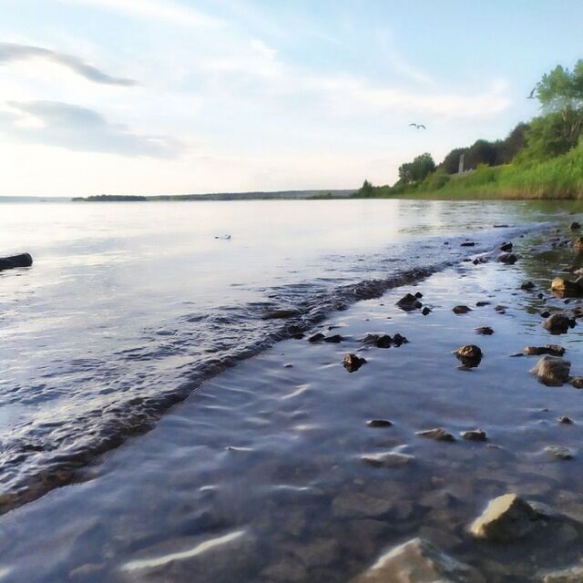 ���������� ������, ���� ����� ������, 24 ����, ������������ ��� ������, ����� � ���������