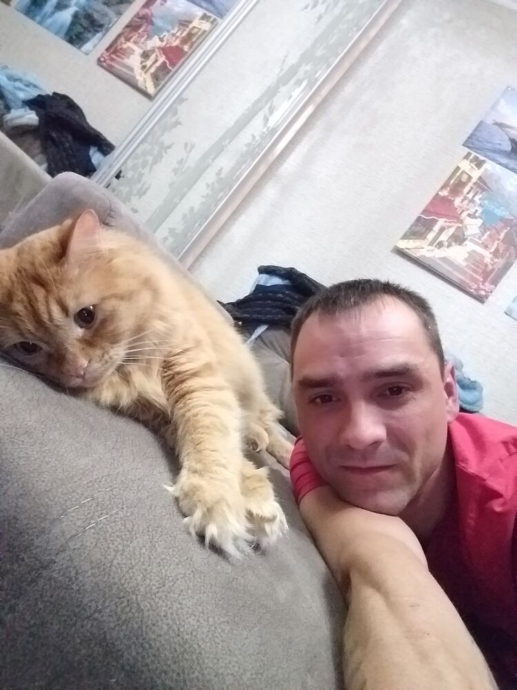 ���� 24611435 ������� ����, 44 ����, ���� ���������� � ����������