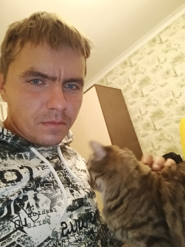 ���������� �����, ���� ������� ���������, 37 ���, ������������ ��� ����� � ���������, c�������� ���������