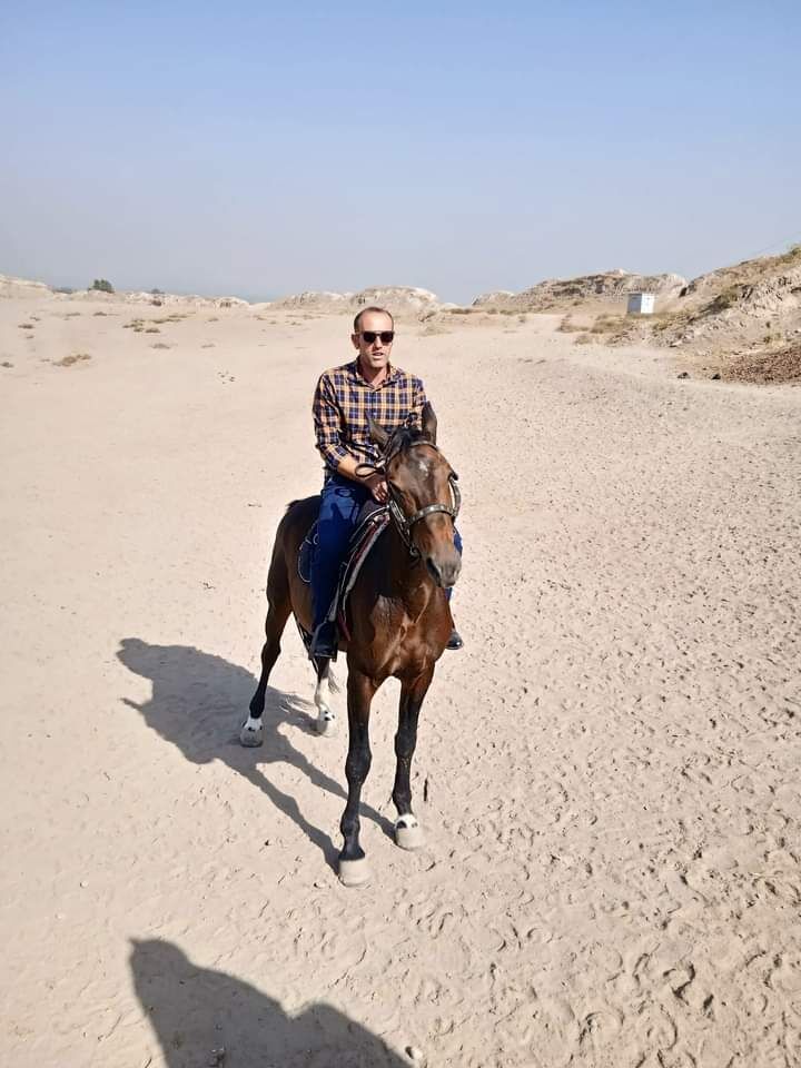 ���� 37316375 ������� �����, 40 ���, ���� ���������� � ������