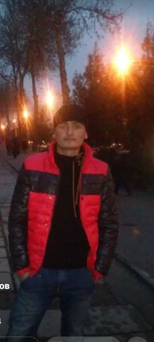 39555185  , 38 ,    