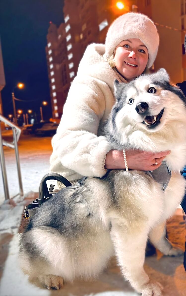 ���� 55589335 ������� �������, 52 ����, ���� ���������� � ����������