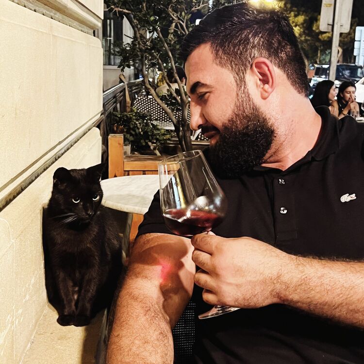 ���� 46494685 ������� ������, 32 ����, ���� ���������� � ����