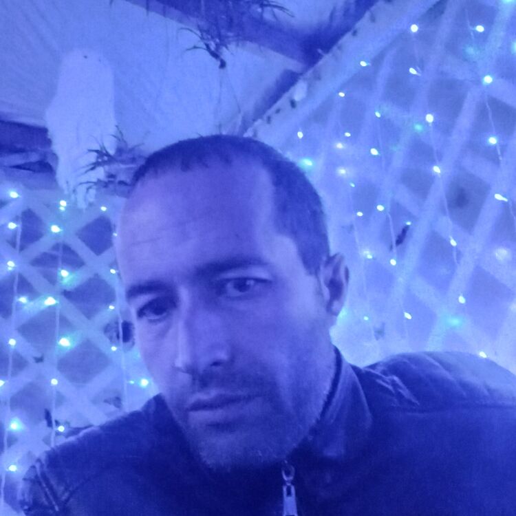  47467815  , 40 ,    