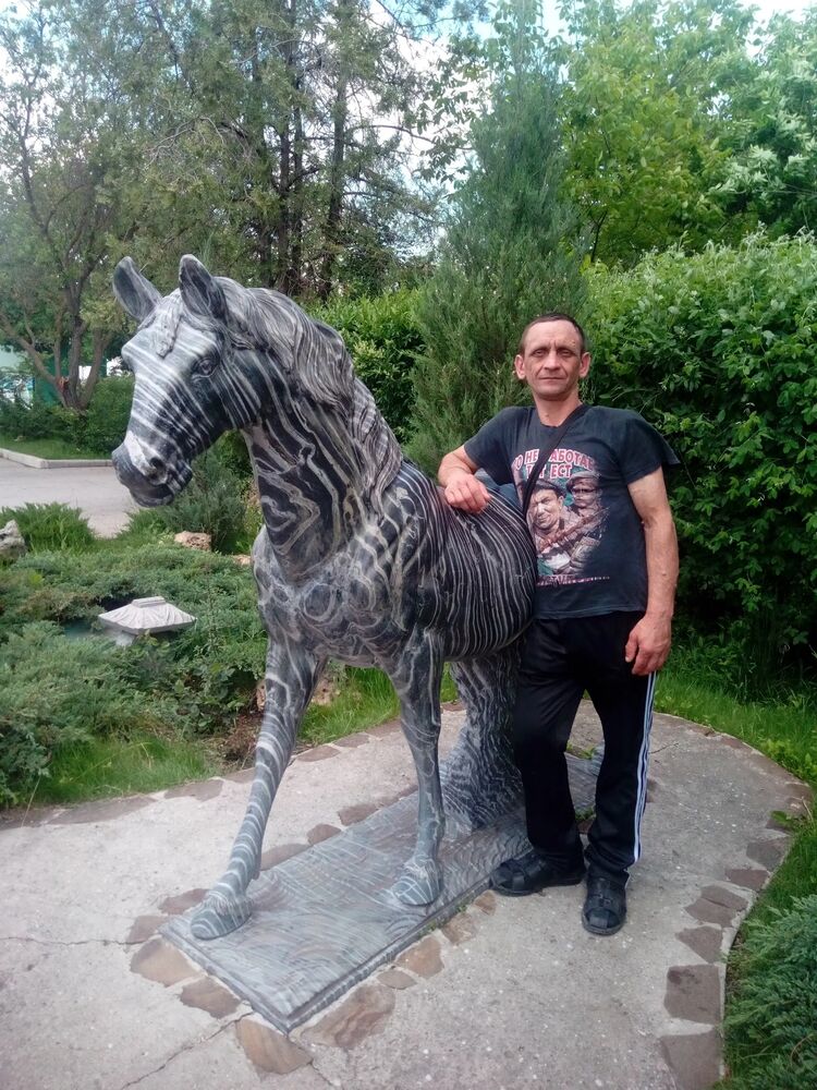  41006845  , 39 ,    