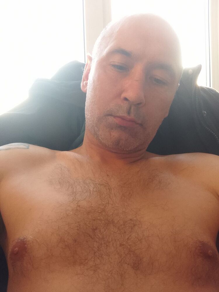  41330855  , 44 ,    