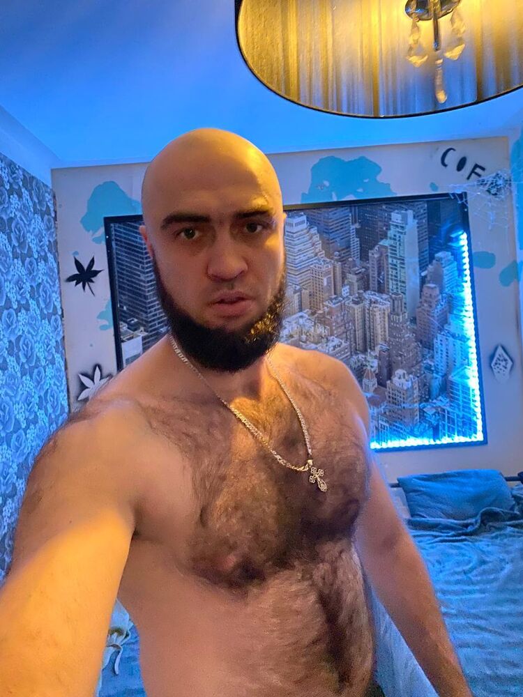  33764275  , 34 ,    