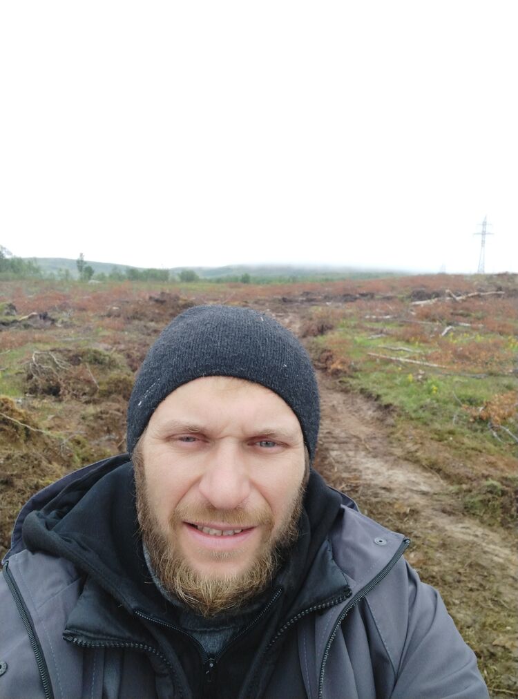 ���� 38557085 ������� ����, 40 ���, ���� ���������� � ���������