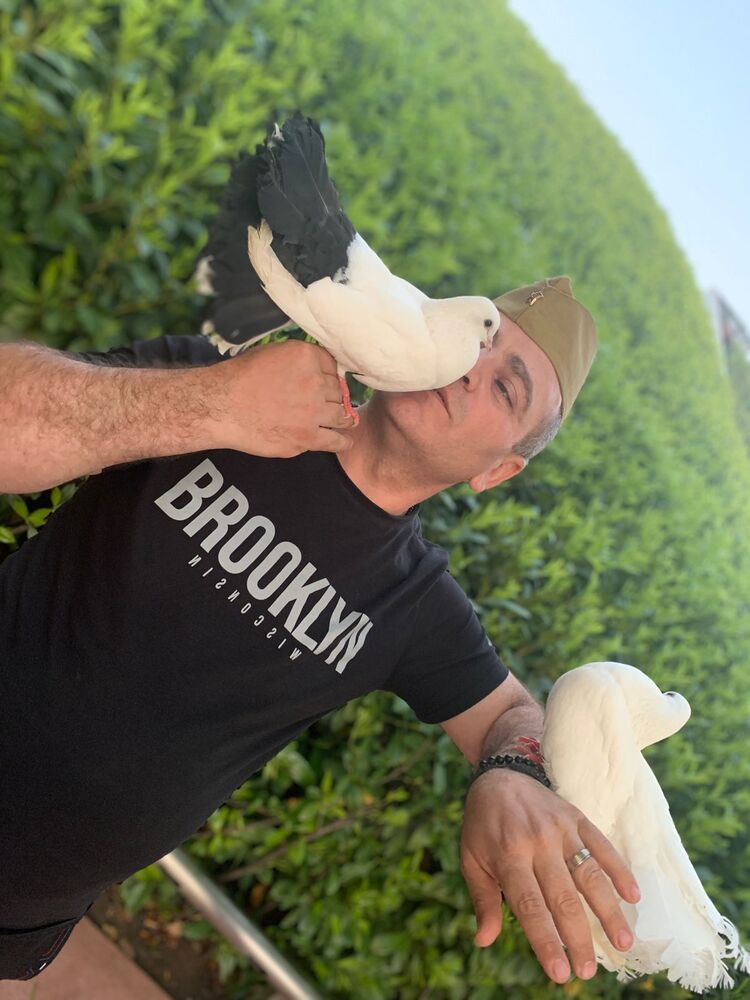 ���� 27429215 ������� �������, 43 ����, ���� ���������� � ����������