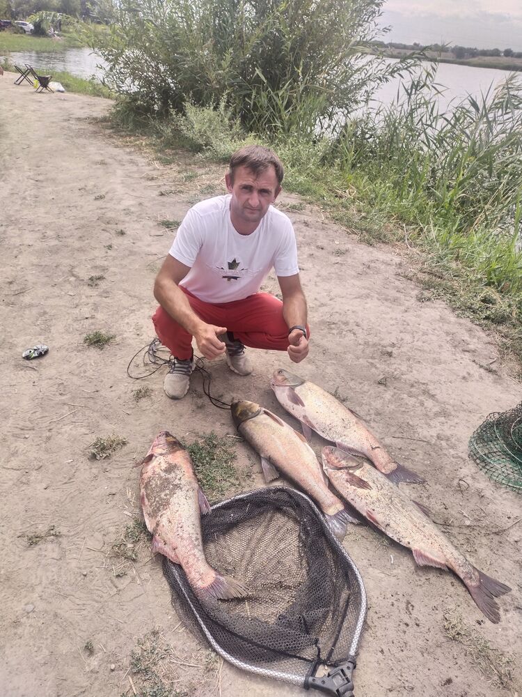  40817245  Maks, 40 ,    