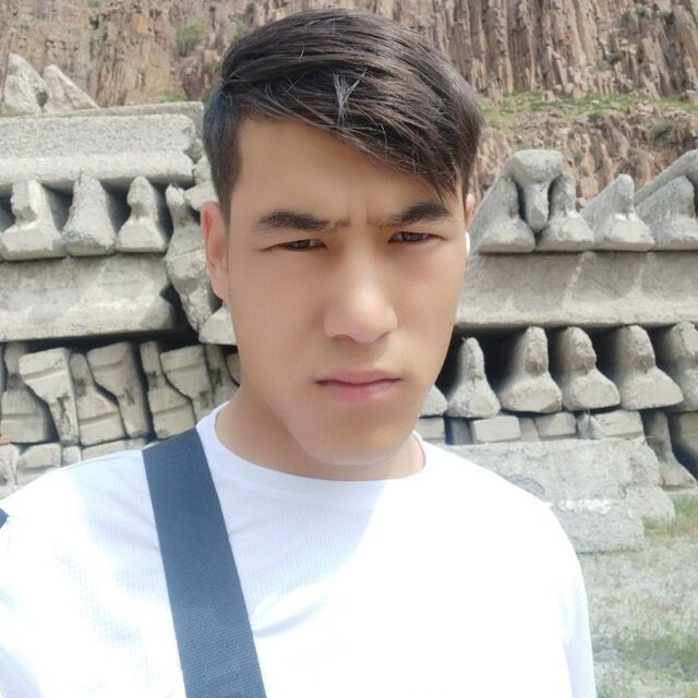  52931465  , 23 ,    -