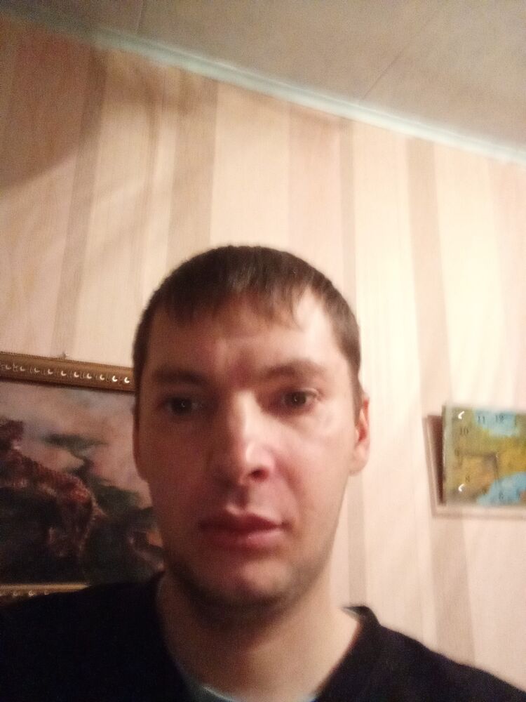  41341865  , 36 ,    