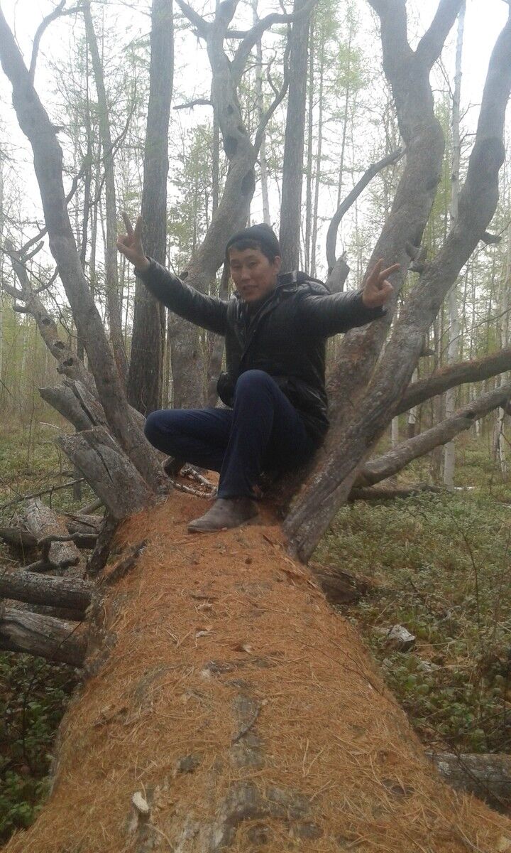  ,   , 43 ,  