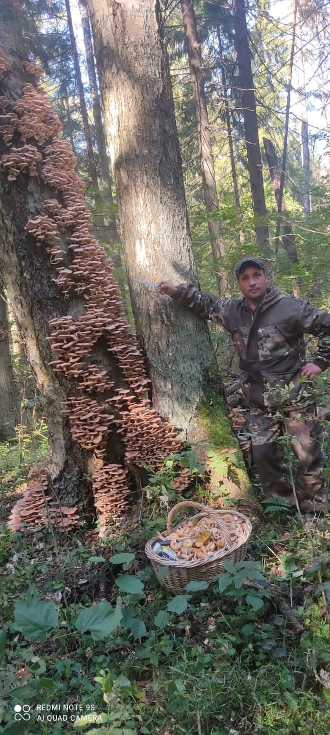 ���� 45767055 ������� Sergei, 41 ���, ���� ���������� � ������