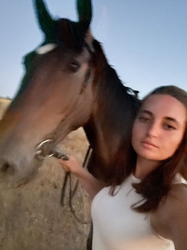  52972025  , 20 ,    