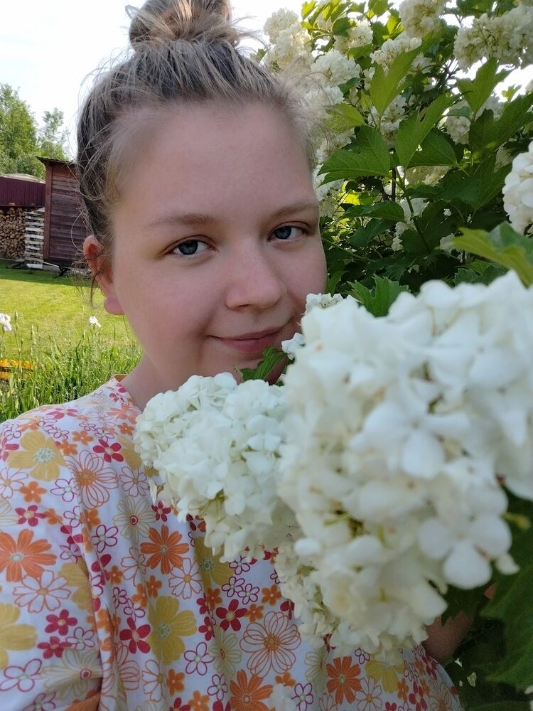 ���������� �����, ���� ������� ���������, 29 ���, ������������ 