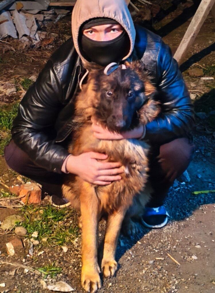 ���� 55384185 ����� ������, 18 ���, ���� ���������� � ����������